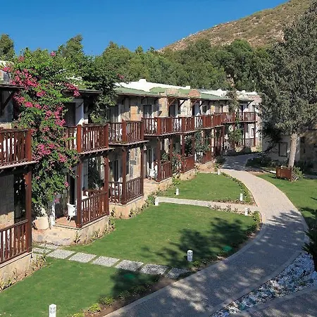 Camelot Boutique (adults Only) 아크얄라